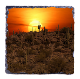 Sun-Guaro