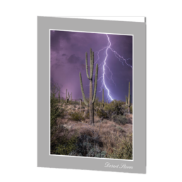 Desert Storm
