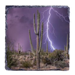 Desert Storm