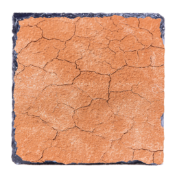 Bone Dry