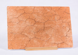Bone Dry