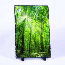 A Life Filtering Through