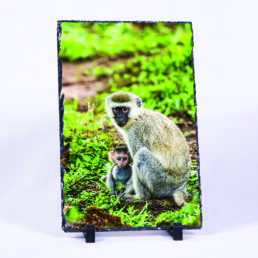 A Watchful Protection