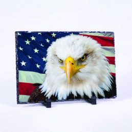 American Eagle