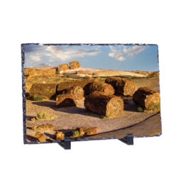 Bedrock's Tire Shop
