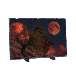 Bloody Moon