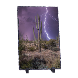 Desert Storm