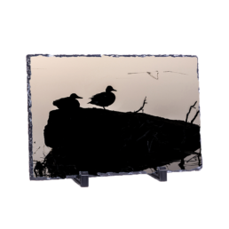 Duck-Lhouette