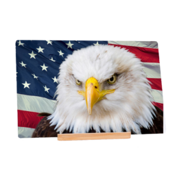 American Eagle