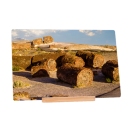 Bedrock's Tire Shop