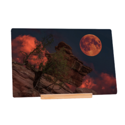 Bloody Moon