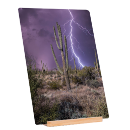 Desert Storm