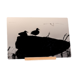 Duck-Lhouette