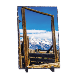 Freedom In A Frame
