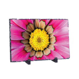 Friendly Pink