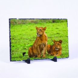 Gazing Over Our Domain