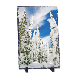 Ghost Trees