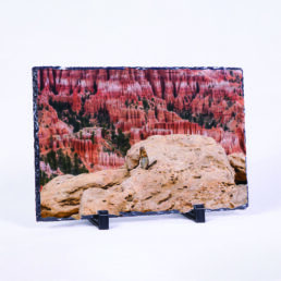 Greetings From Bryce