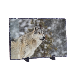 Mighty Wolf