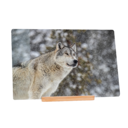 Mighty Wolf