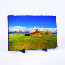 Nature At The Doorstep