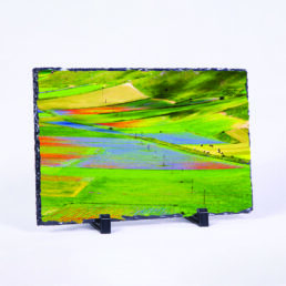 Pot-Pourri Of Colors