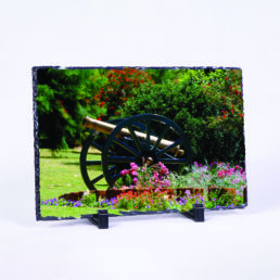 Put A Cannon On Your Flowers