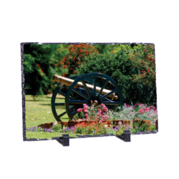 Put A Cannon On Your Flowers
