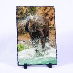 Refreshment, At Last!