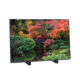 Relaxing Pond