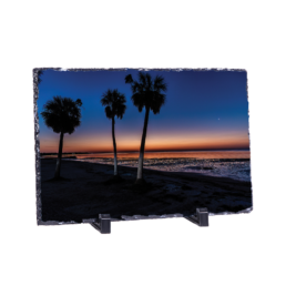 Rising In Paradise