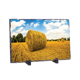 Solo Haystack