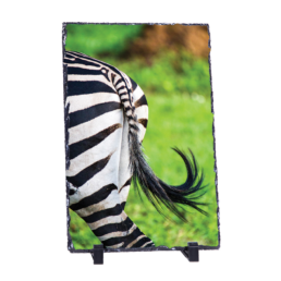 Striped Back