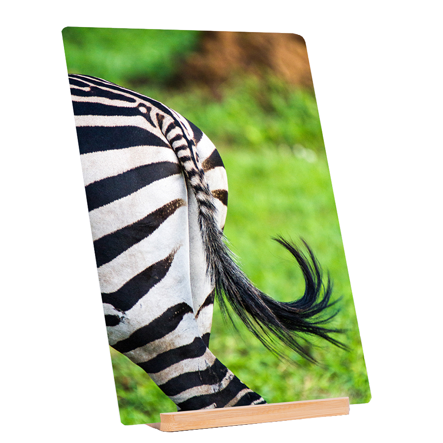 Striped Back
