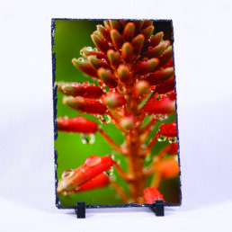 Tears Are Not Enough