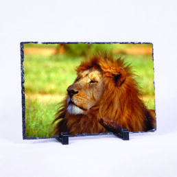 The King's Demeanour