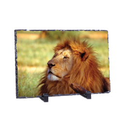 The King's Demeanour
