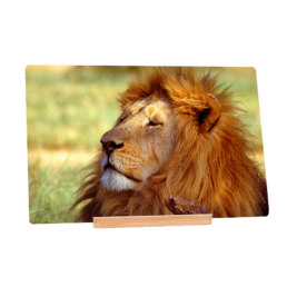 The King's Demeanour