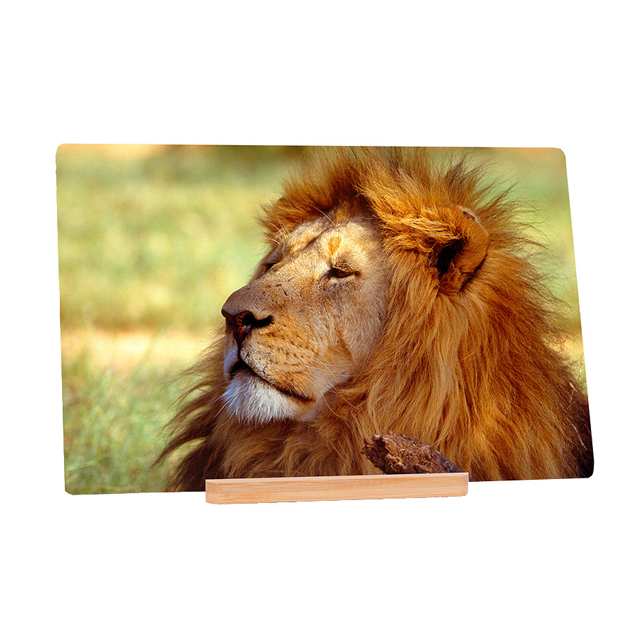 The King's Demeanour