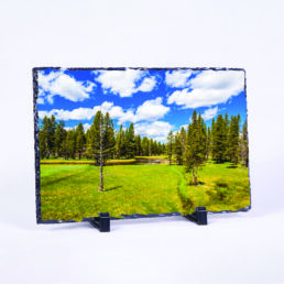 The Sound of Silence