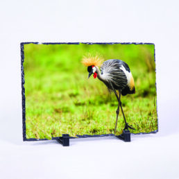 The Weight Of The Crown