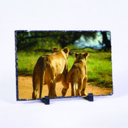 To The River With Mom