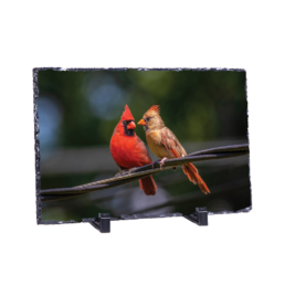 Tweet To Me