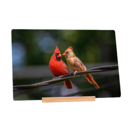 Tweet To Me