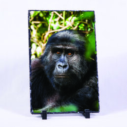 Unfathomable Thought