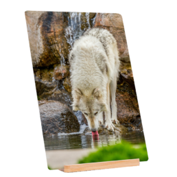 Unruffled Drink