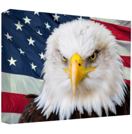 American Eagle
