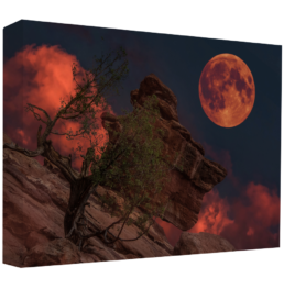 Bloody Moon