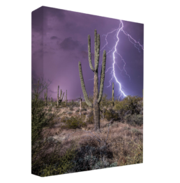 Desert Storm