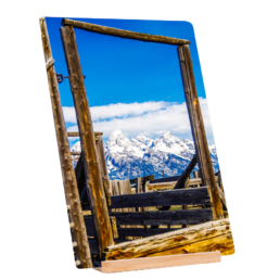 Freedom In A Frame